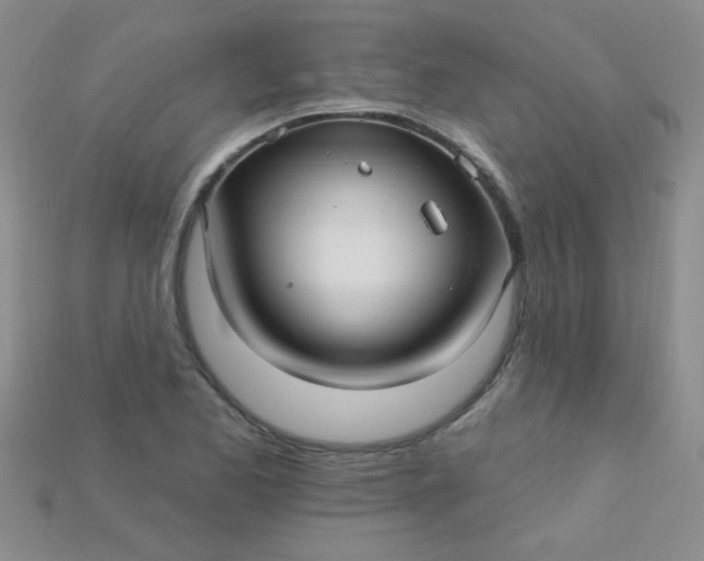 X0000115221173200911121918