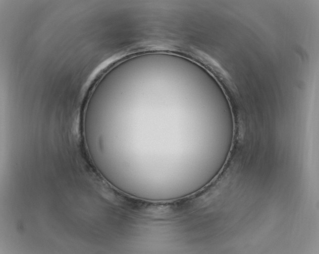 X0000115221174200911121918