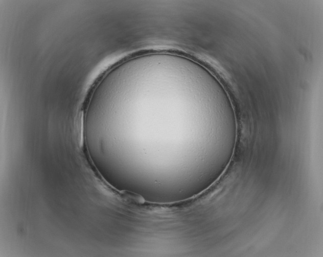 X0000115221175200911121918