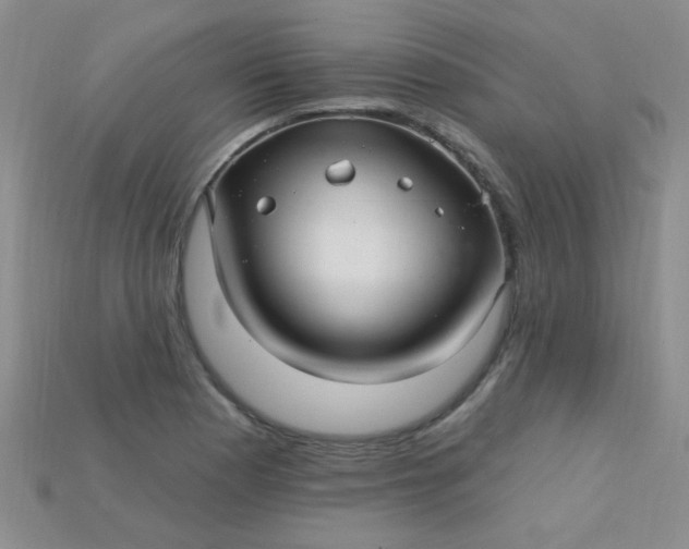 X0000115221177200911121918