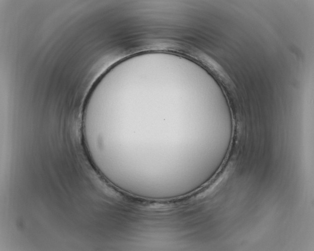 X0000115221178200911121918