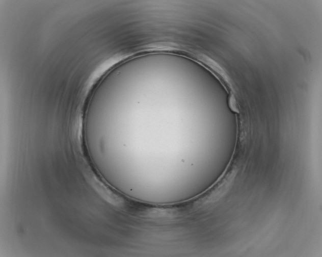 X0000115221179200911121918