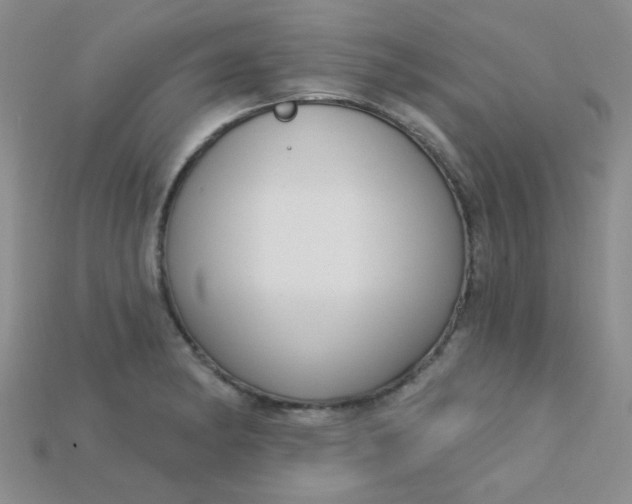 X0000115221182200911121918