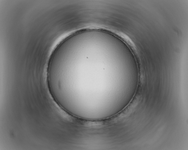 X0000115221183200911121918