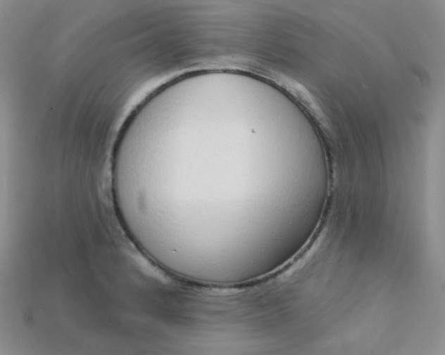 X0000115221184200911121918