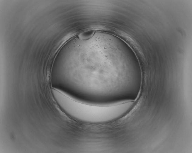 X0000115221185200911121918