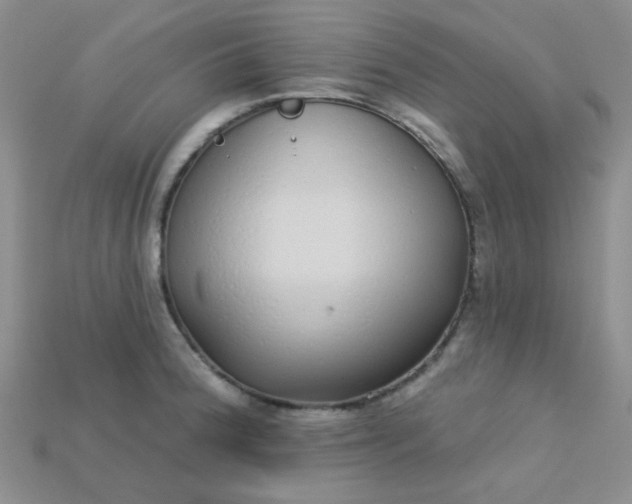 X0000115221188200911121918