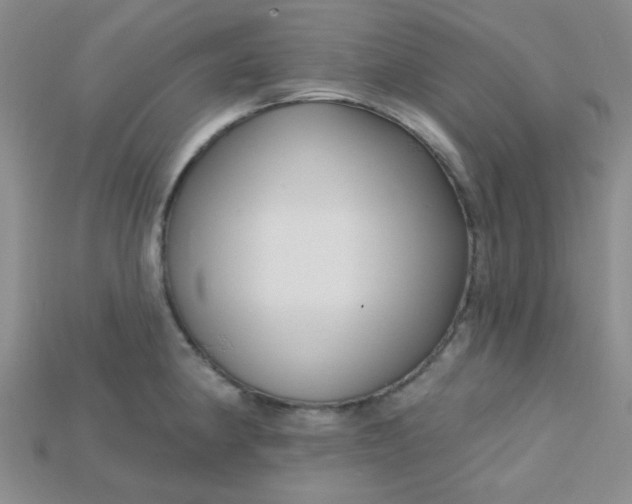 X0000115221190200911121918