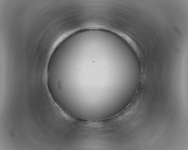 X0000115221191200911121918