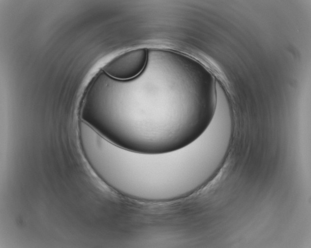 X0000115221192200911121918