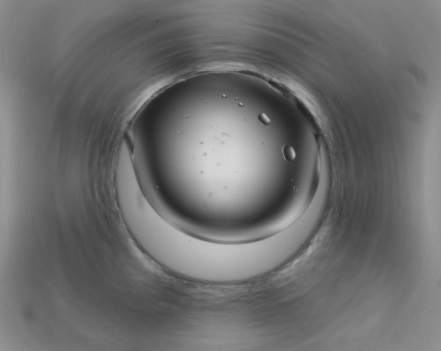 X0000115221193200911121918