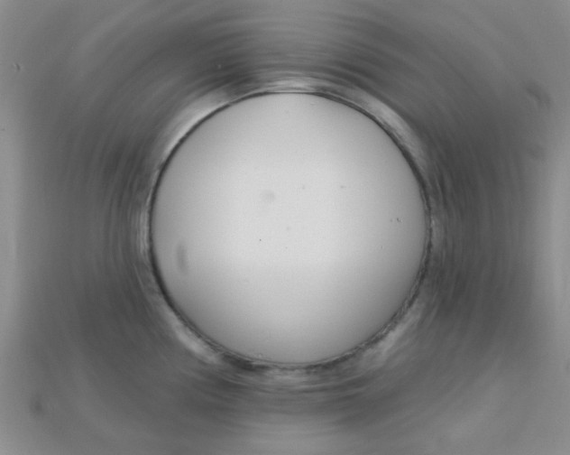 X0000115221194200911121918