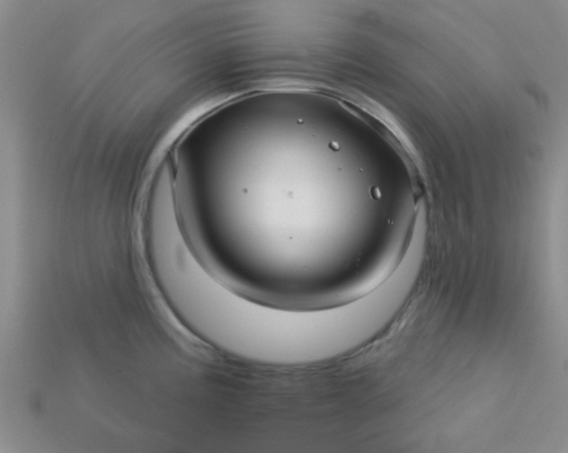 X0000115221195200911121918