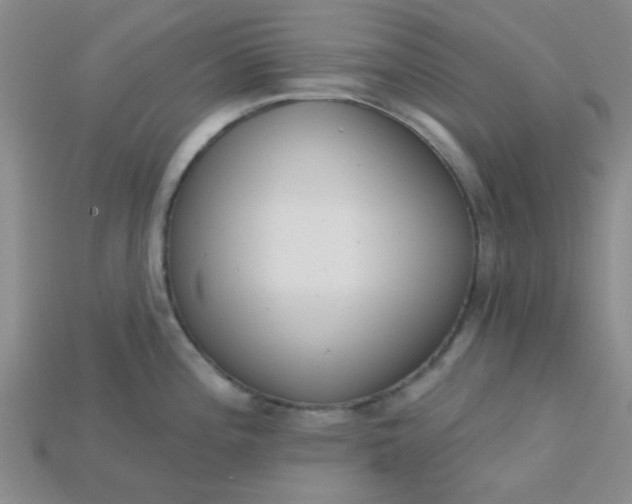 X0000115221196200911121918
