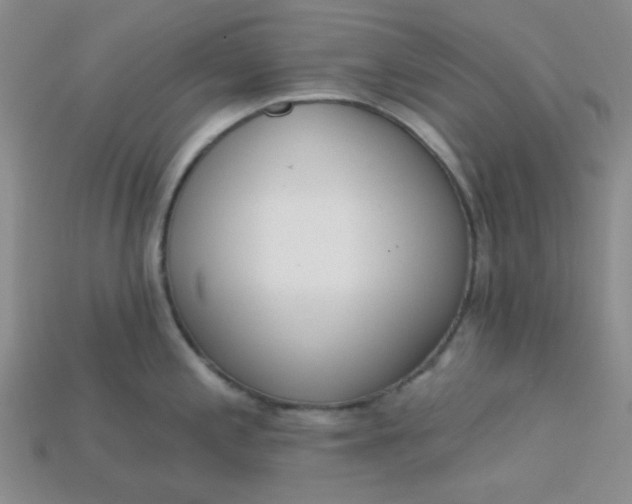 X0000115221197200911121918