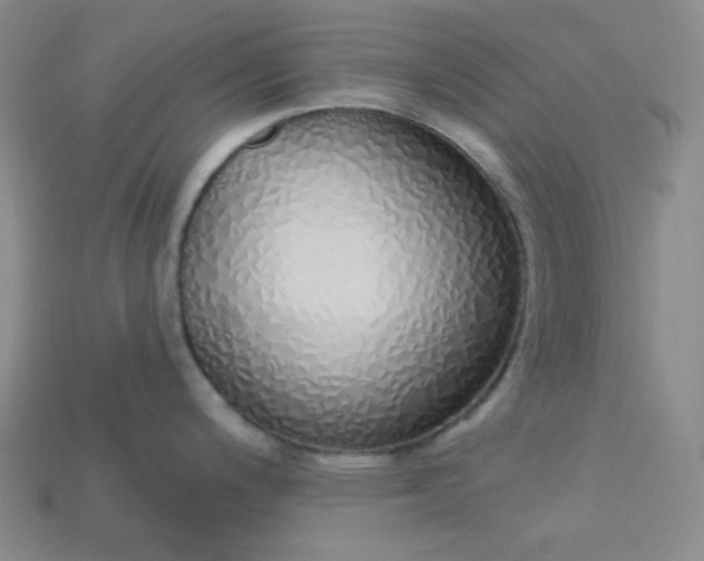 X0000115221200200911121918