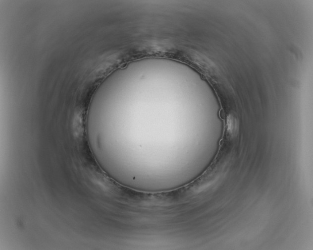 X0000115221203200911121917