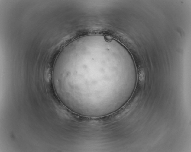 X0000115221204200911121917