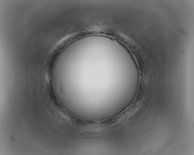 X0000115221206200911121918