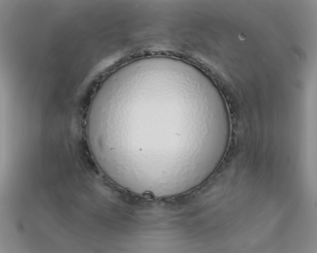 X0000115221207200911121918