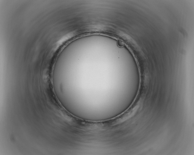X0000115221210200911121918