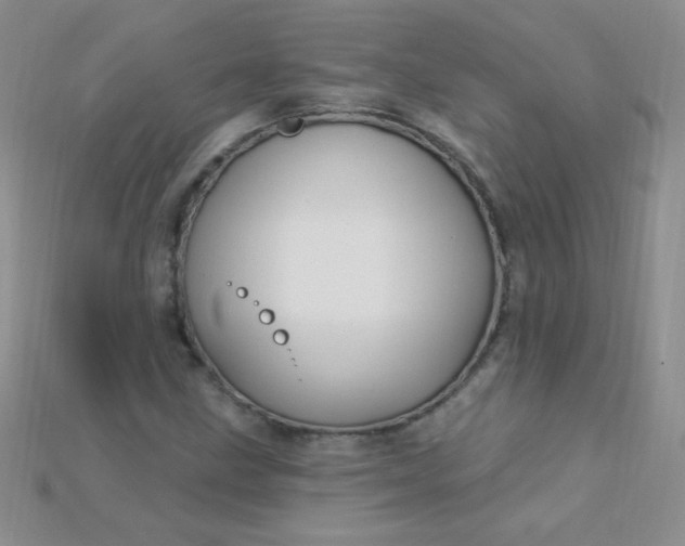 X0000115221211200911121918