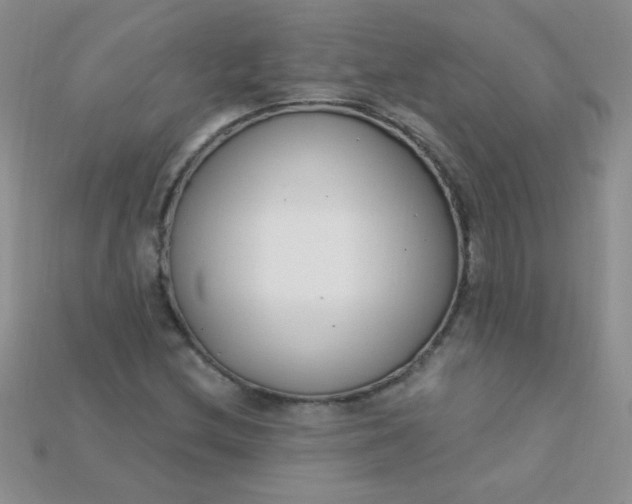 X0000115221212200911121918