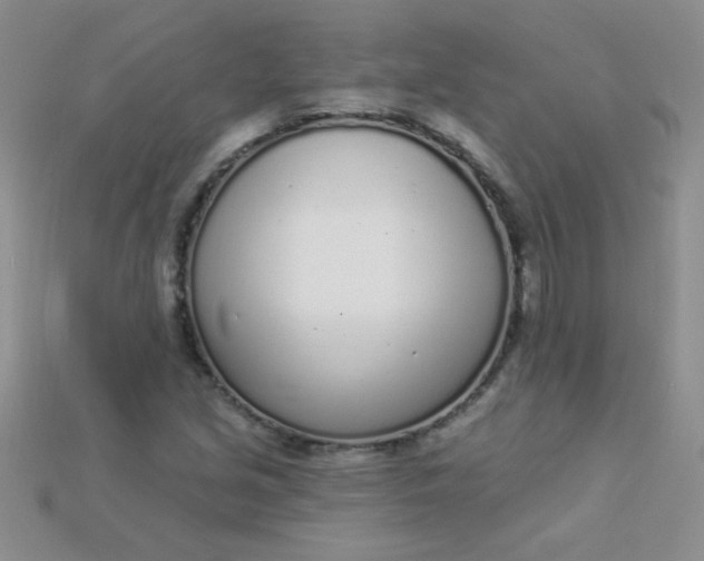 X0000115221213200911121918