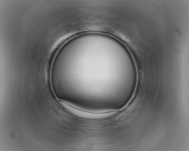 X0000115221214200911121918