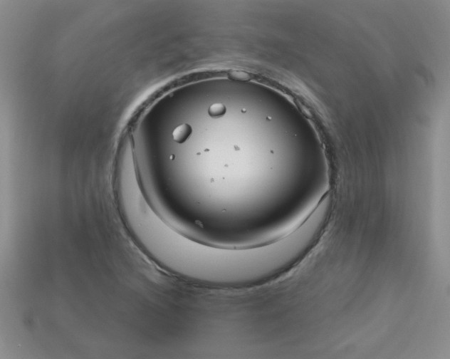 X0000115221216200911121918