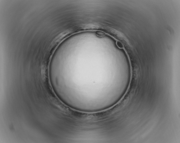 X0000115221217200911121918