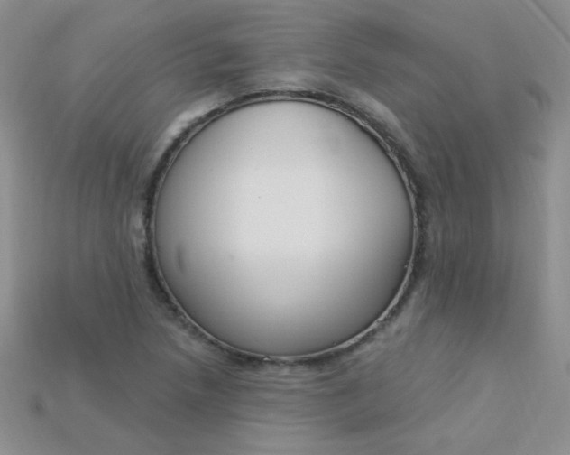 X0000115221218200911121918