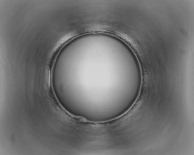 X0000115221219200911121918