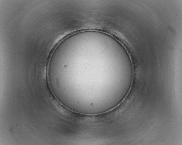 X0000115221220200911121918