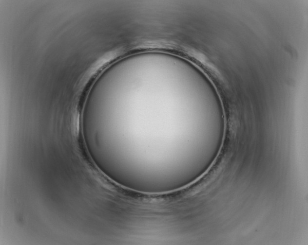 X0000115221221200911121918