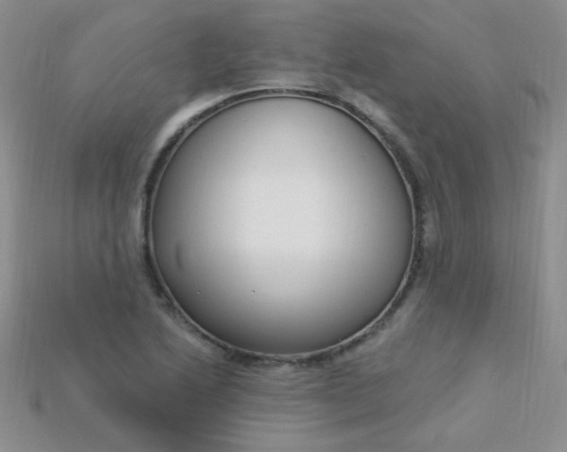 X0000115221222200911121918
