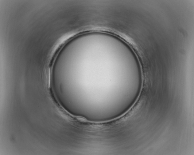 X0000115221223200911121918