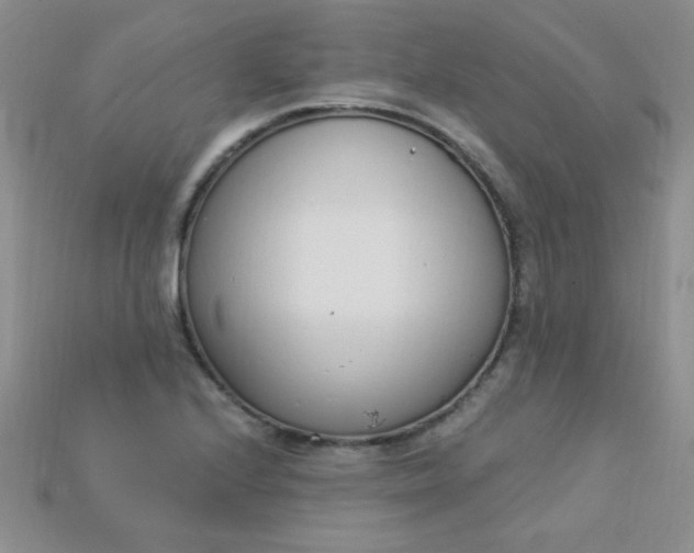 X0000115221224200911121918