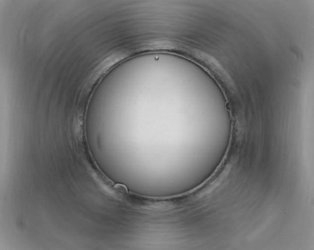 X0000115221225200911121918