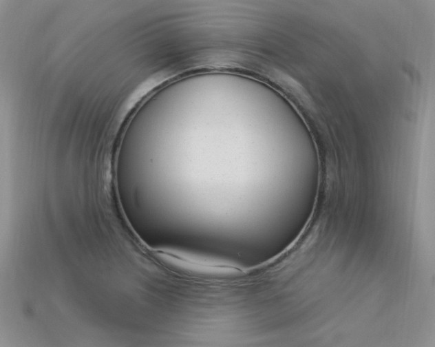 X0000115221226200911121918