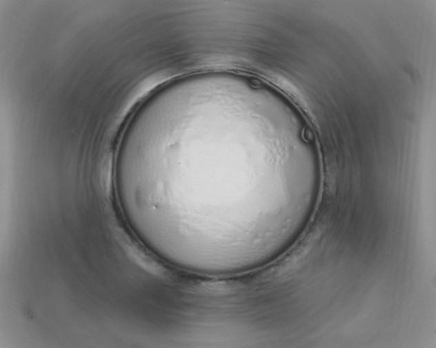 X0000115221227200911121918