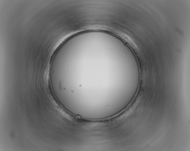 X0000115221228200911121918