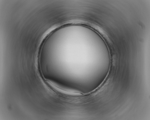 X0000115221229200911121918
