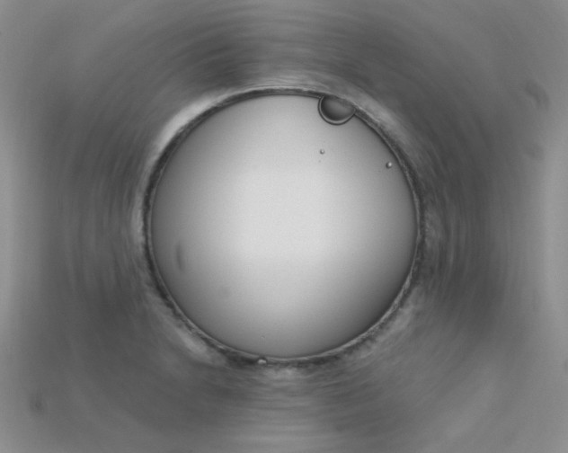 X0000115221230200911121918