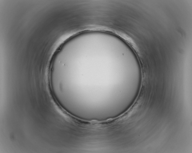 X0000115221231200911121918