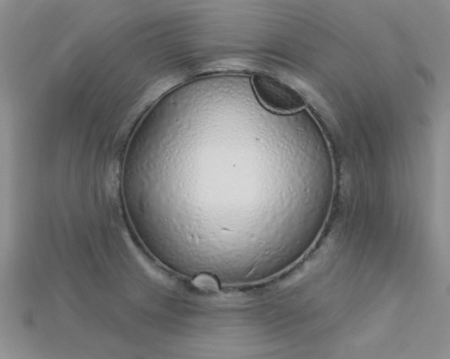 X0000115221233200911121918
