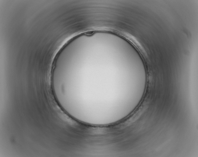 X0000115221236200911121918