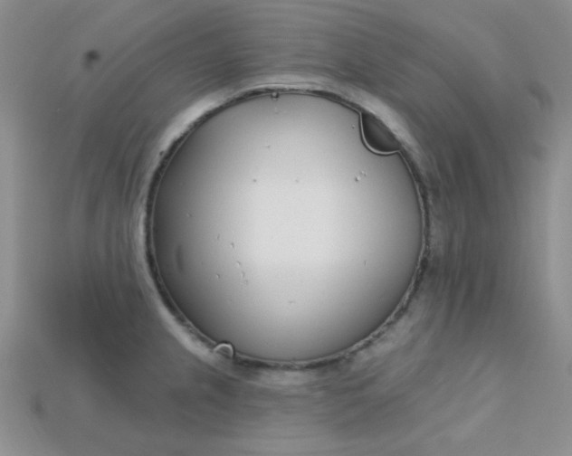 X0000115221237200911121918