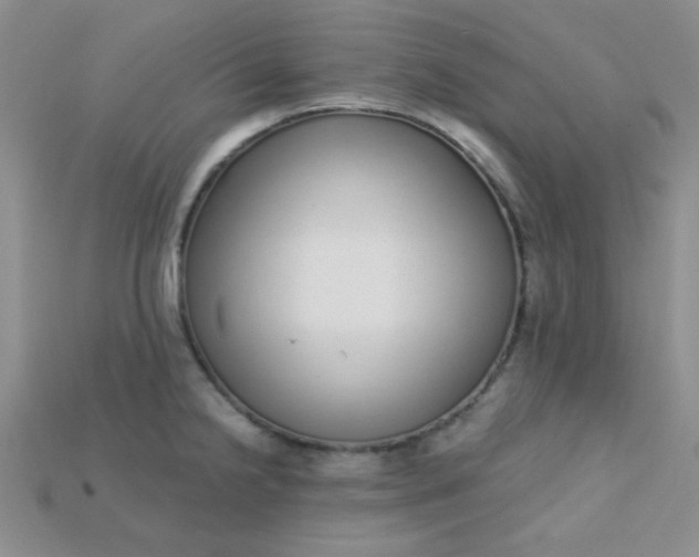X0000115221238200911121918