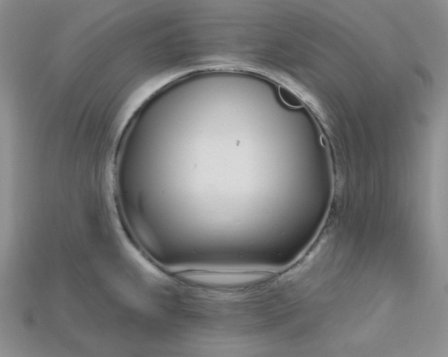 X0000115221239200911121918